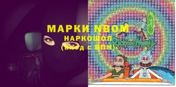 хмурый Алексин