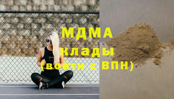 хмурый Алексин