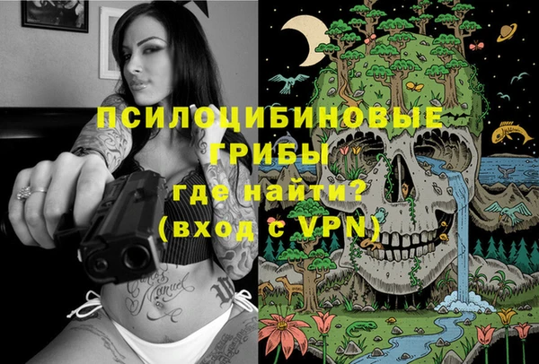 хмурый Алексин
