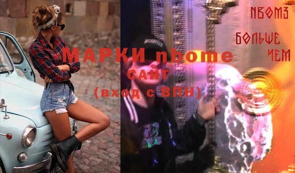 хмурый Алексин