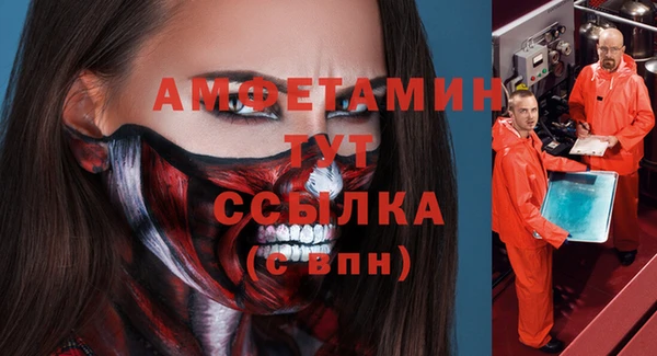 хмурый Алексин