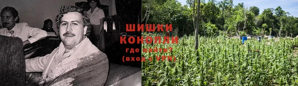 соль ск Алексеевка