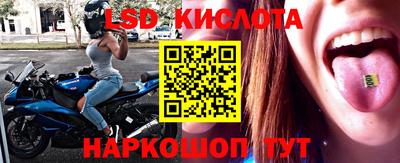 сатива Кинель