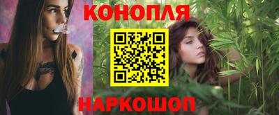 сатива Кинель