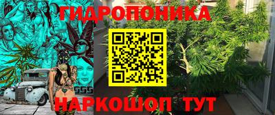 a pvp Кимры
