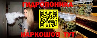 ECSTASY Кингисепп