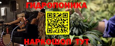 сатива Кинель