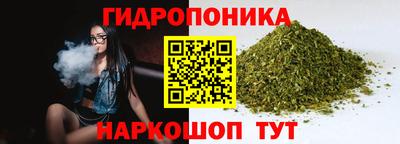 a pvp Кимры